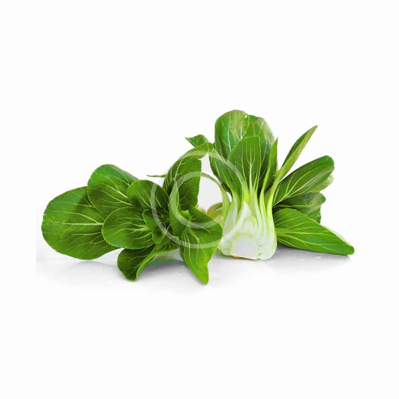 Chinese Cabbage